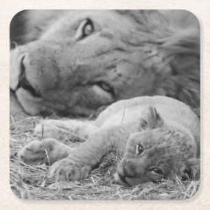 Niedlicher Löwe CUB, das beim Vater liegt Rechteckiger Pappuntersetzer