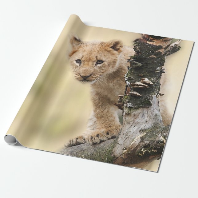 Niedlicher Löwe CUB in einem Baum Geschenkpapier (Ungerollt)