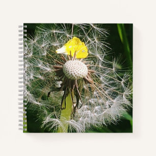 Niedlicher Löwenzahn Notizbuch