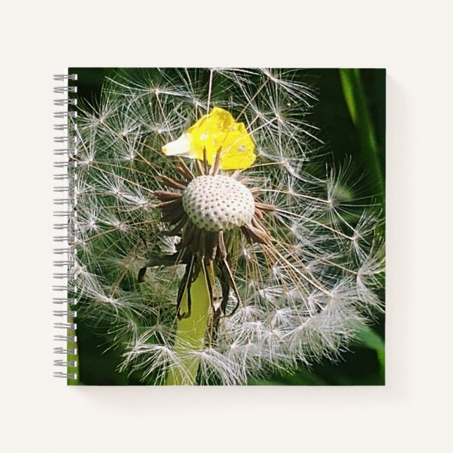Niedlicher Löwenzahn Notizbuch (Vorderseite)