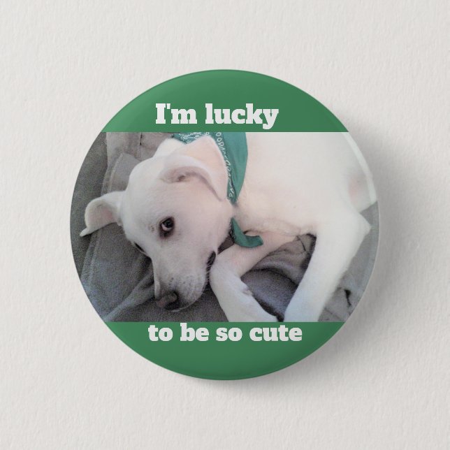 Niedlicher Lucky White Dog mit grünem Scarf Button (Vorderseite)