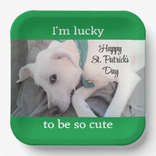 Niedlicher Lucky White Dog mit grünem Scarf Pappteller