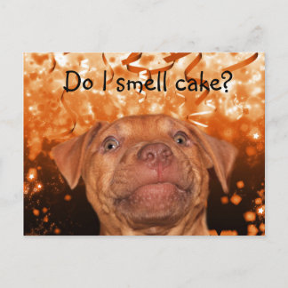 Niedlicher lustiger Hundegeburt Postkarte
