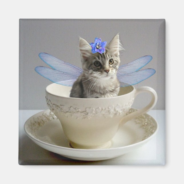 Niedlicher Maine Coon Katzenkatzenfei-Quadratzmagn Magnet (Vorne)