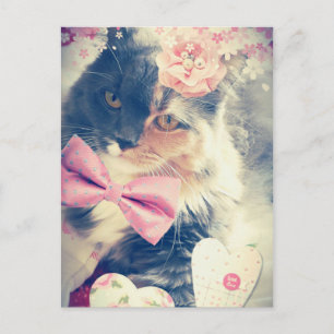 Niedlicher Maine Coon Kitten Retro-Stil Postkarte