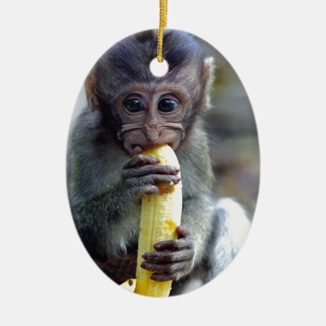 Niedlicher Makahahn mit Banane Keramik Ornament (Vorne)