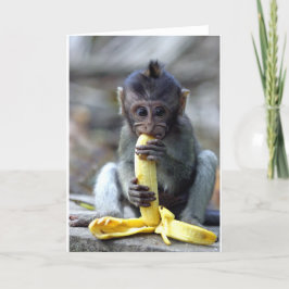 Niedlicher Makaken-Affe mit Banane Karte