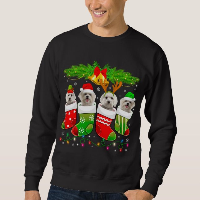 Niedlicher maltesischer Hund in Socken Weihnachten Sweatshirt (Vorderseite)