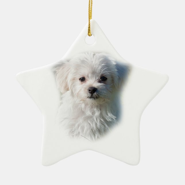 Niedlicher maltesischer Hund Keramik Ornament (Vorne)