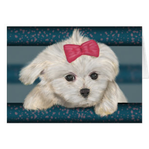 Niedlicher maltesischer Hund mit Creme Fur und Red