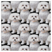 Niedlicher maltesischer Hund
