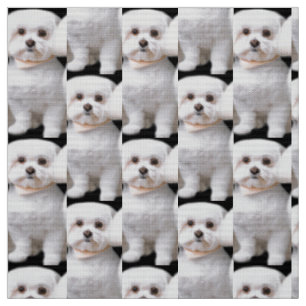 Niedlicher maltesischer Hund Stoff