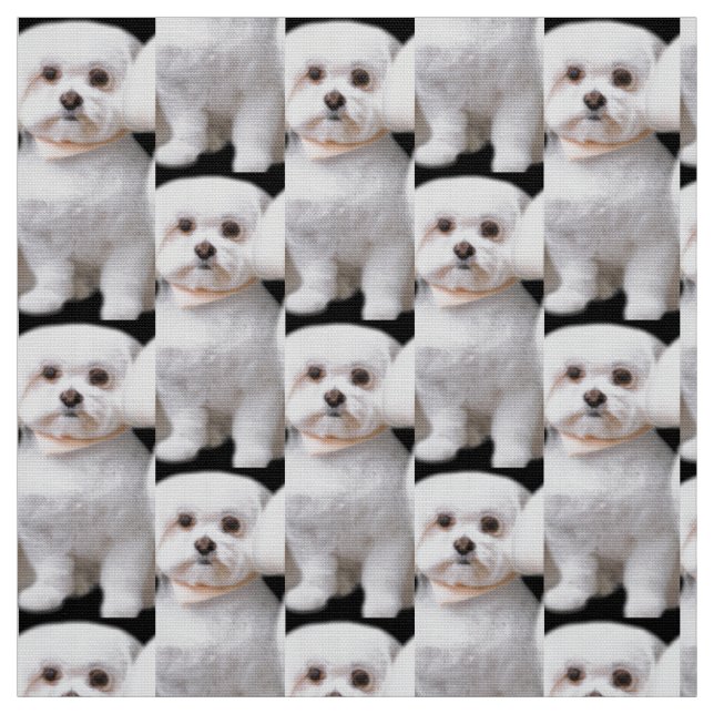 Niedlicher maltesischer Hund Stoff (Muster)