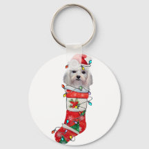 Niedlicher maltesischer Hundeweihnachtsfest, malte