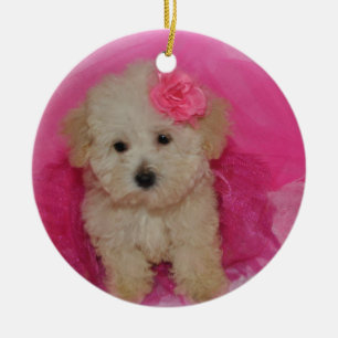 Niedlicher Maltipop-Welpe Keramik Ornament