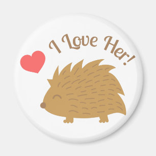 Niedlicher männlicher Igel in der Liebe, ich Liebe Magnet