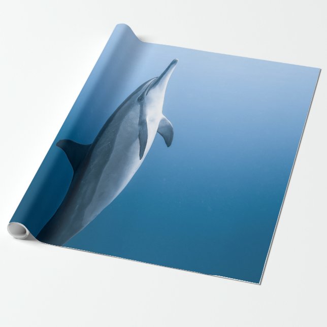 Niedlicher Meerestier Geschenkpapier (Ungerollt)