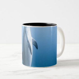 Niedlicher Meerestier Zweifarbige Tasse