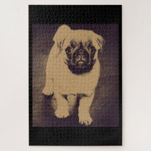 Niedlicher Mops Dog Portrait