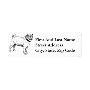 Niedlicher Mops Eleganter Hund Zeichnend