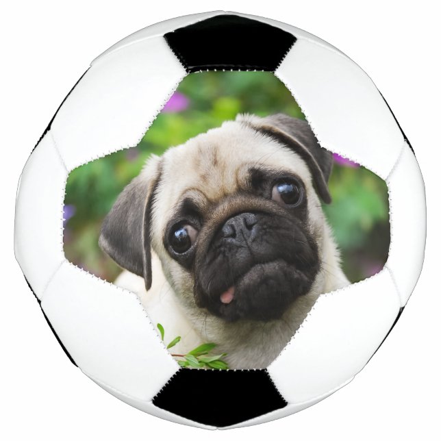 Niedlicher Mops-Welpe Fußball (Vorderseite)