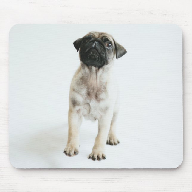 Niedlicher Mops-Welpe Mousepad (Vorne)