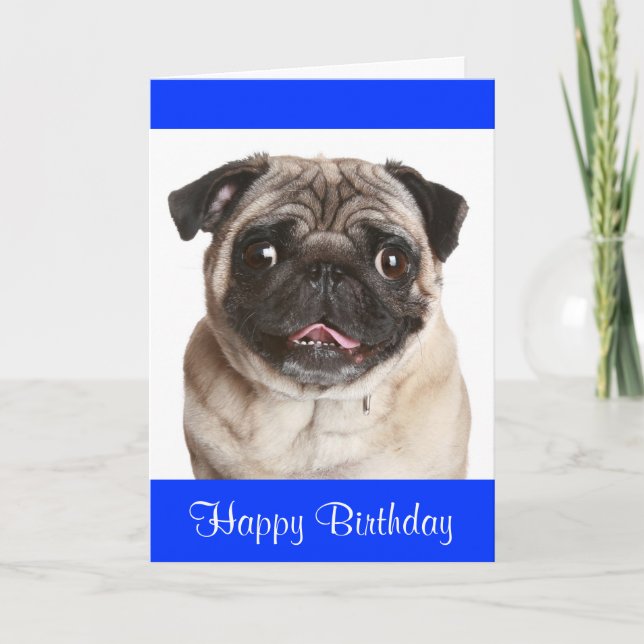 Niedlicher Mops Welpen Hund Happy Birthday Grußkar Karte (Vorderseite)