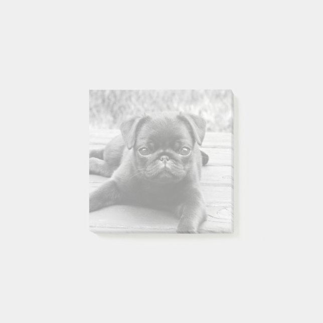 Niedlicher Mops Welpenhund Lover Schwarz-Weiß-Foto Post-it Klebezettel (Vorderseite)