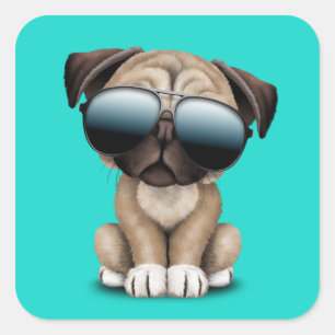Niedlicher Mops Welpenhund trägt eine Sonnenbrille Quadratischer Aufkleber