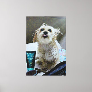 Niedlicher Morkie Welpe Hund Funny 40" x 60" Canva Leinwanddruck
