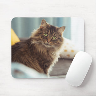 Niedlicher Norwegischer Cat Mouse Pad Mousepad