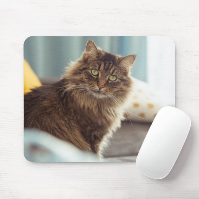 Niedlicher Norwegischer Cat Mouse Pad Mousepad (Mit Mouse)