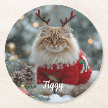 Niedlicher Norwegischer Wald Weihnachten Personali