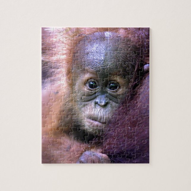 Niedlicher Orang-Utan-Baby auf Sumatra (Vertikal)