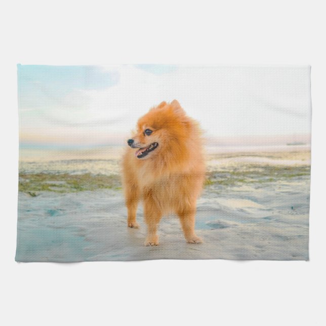 Niedlicher Orange Spitz am Sandstrand Küchentuch (Horizontal)