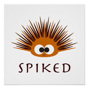 Niedlicher Orangenmeurchin Poster