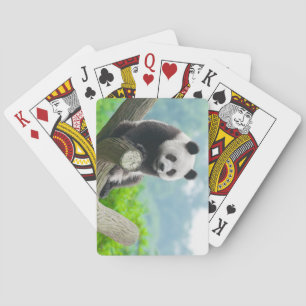 Niedlicher Panda-Bär auf einer Baumzweigung Spielkarten