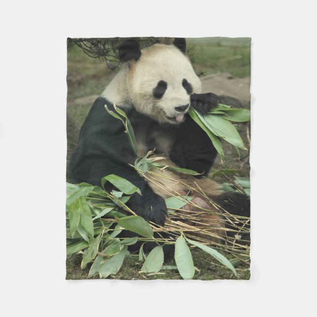 Niedlicher Panda-Bär, der Blätter-Fleece-Decke Fleecedecke (Vorderseite)