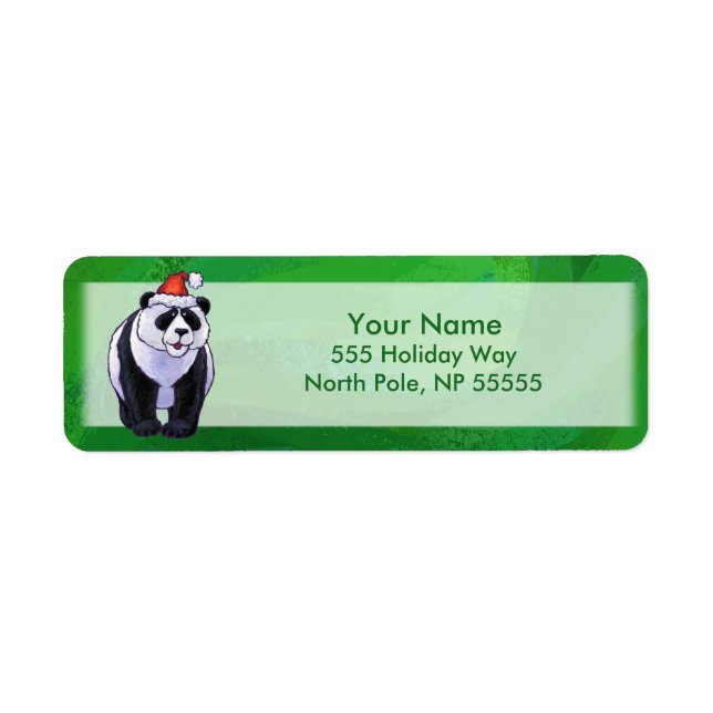 Niedlicher Panda-Bär in Weihnachtsmannmütze auf Gr (Vorne)