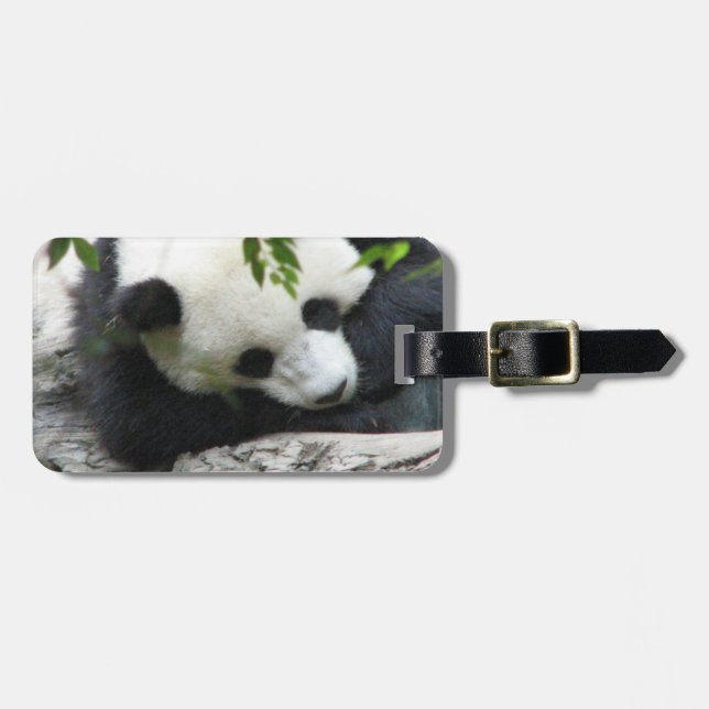 Niedlicher Panda-Gepäck-Umbau Gepäckanhänger (Vorderseite horizontal)