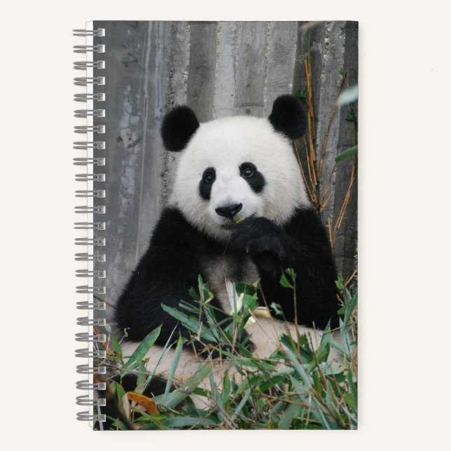 Niedlicher Panda Notizbuch (Vorderseite)