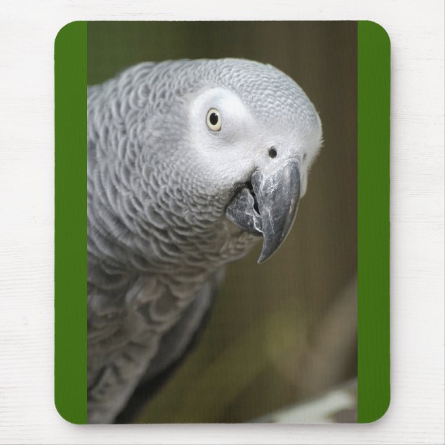 niedlicher Papagei Mousepad (Vorne)