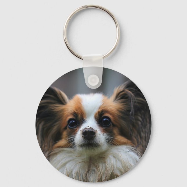 Niedlicher Papillenhund Schlüsselanhänger (Vorderseite)