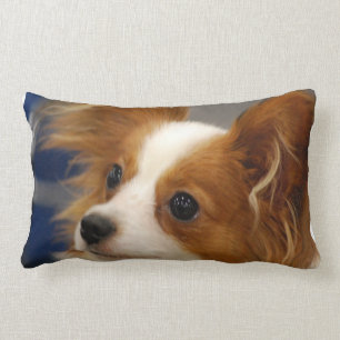Niedlicher Papillon Hund Lendenkissen