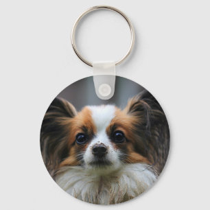 Niedlicher papillon Hund Schlüsselanhänger
