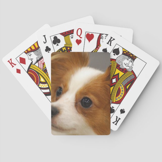 Niedlicher Papillon Hund Spielkarten (Rückseite)