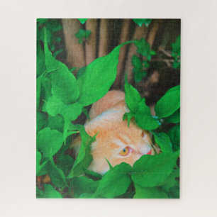 Niedlicher Peeking-Cat-Fot-Druck