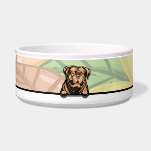 Niedlicher Peeking Dogue de Bordeaux, Küche Napf