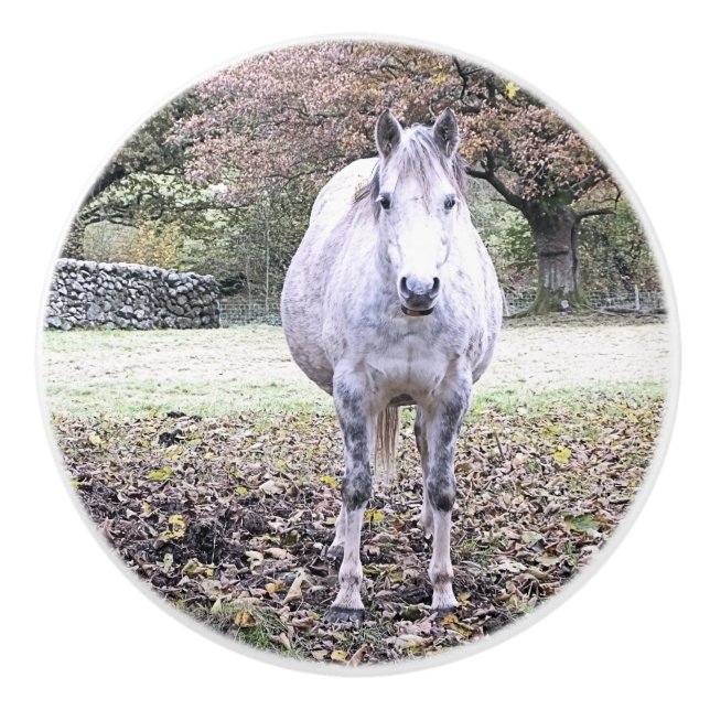 NIEDLICHER PFERD KERAMIKKNAUF (Vorderseite)