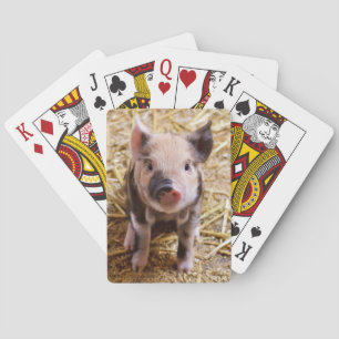 Niedlicher Pic eines Baby Schweins Spielkarten